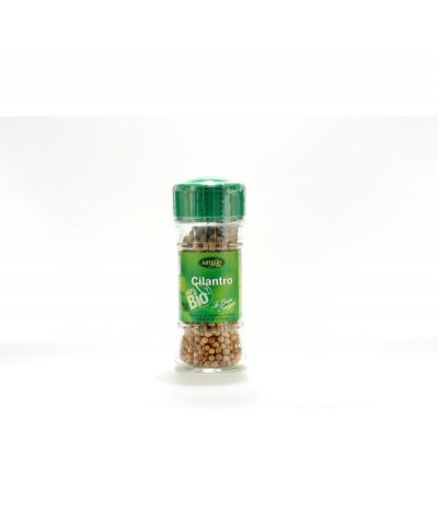 Cilantro semilla especias ARTEMIS 20 gr BIO