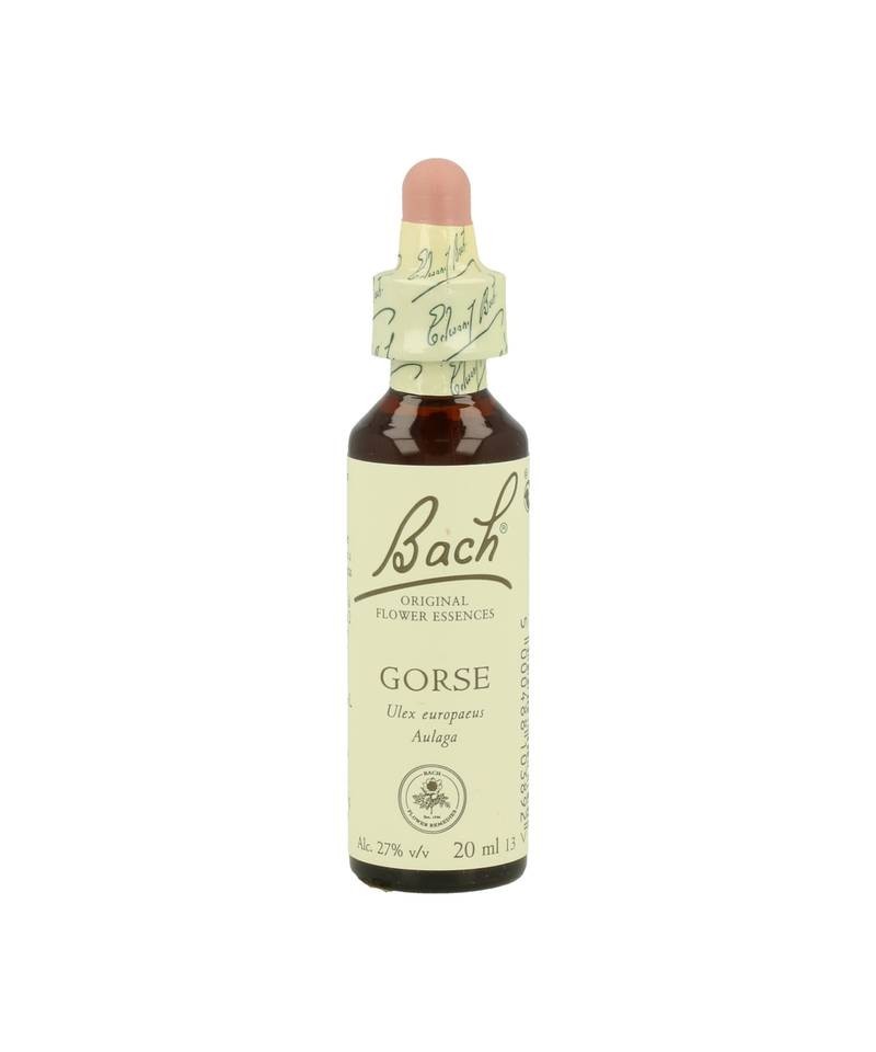 FLOR BACH gorse 20 ml Nº13