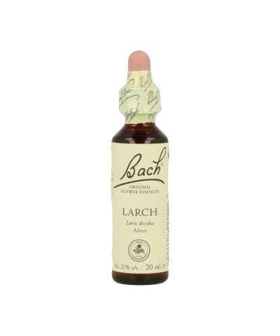 FLOR BACH larch 20 ml Nº19