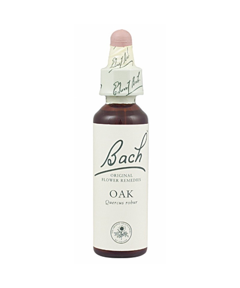 FLOR BACH oak 20 ml Nº22