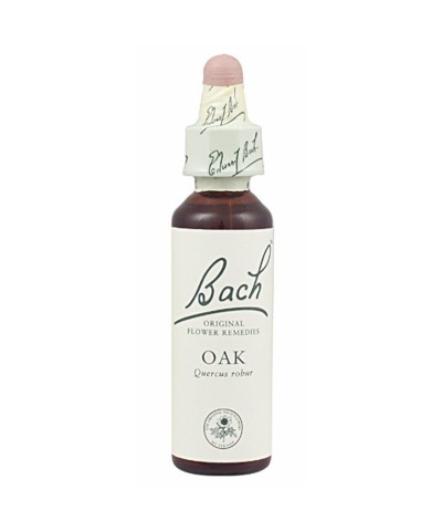 FLOR BACH oak 20 ml Nº22