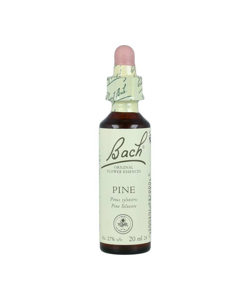 FLOR BACH pine 20 ml Nº24