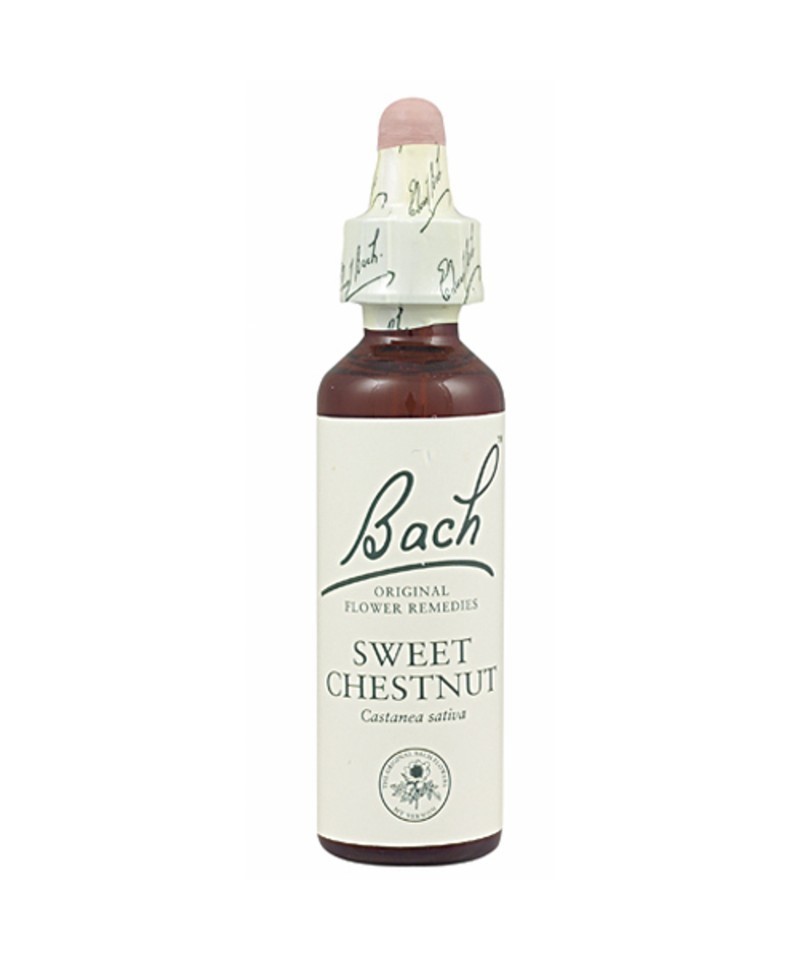 FLOR BACH sweet chestnut 20 ml Nº30