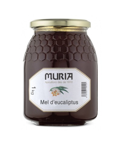 Miel eucalipto MURIA 1 kg