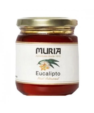 Miel eucalipto MURIA 50 gr