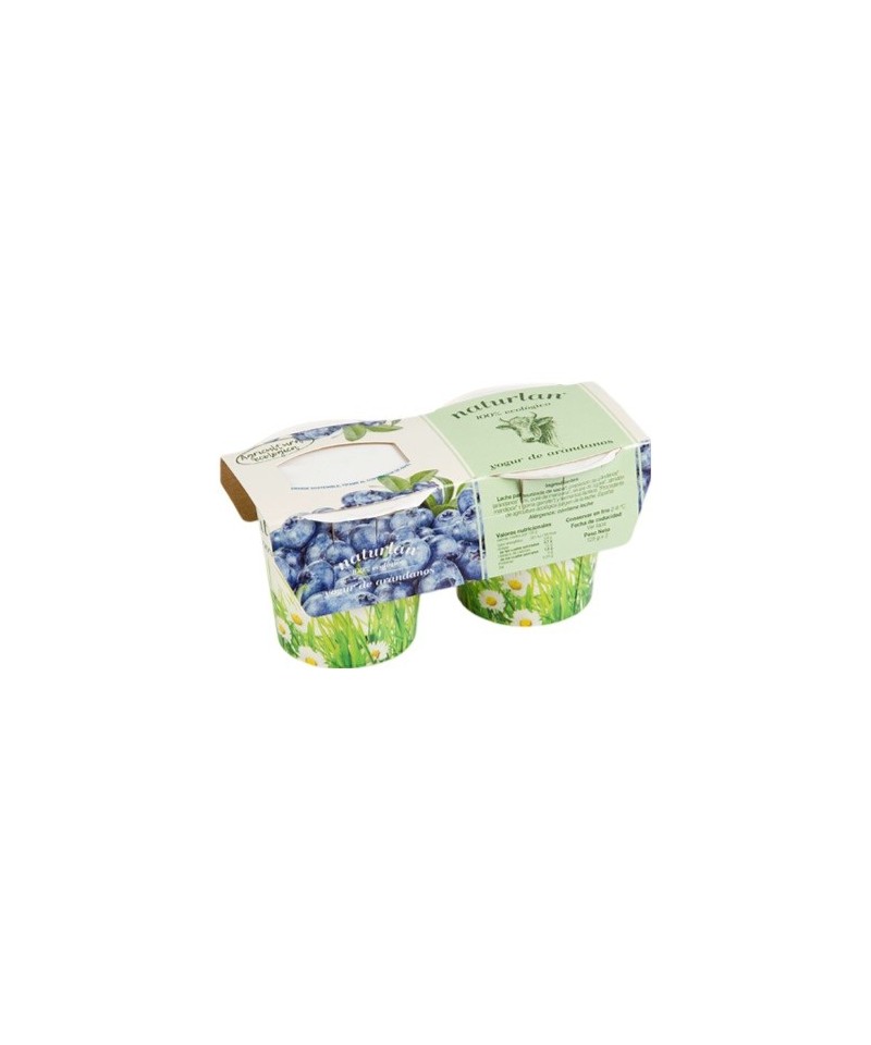 Yogur vaca arandanos NATURLAN 2X125 gr ECO