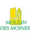 MOULINS DES MOINES